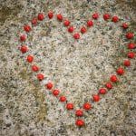love seeds