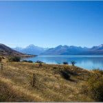 NZ