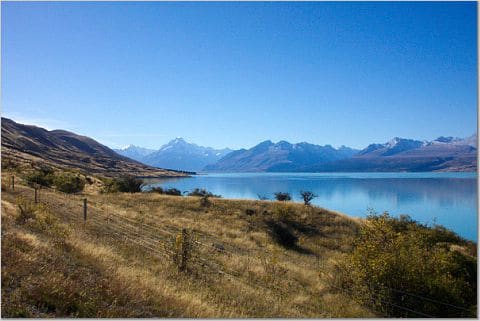 NZ