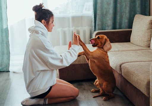 Bonding Tips for You and Your Dog